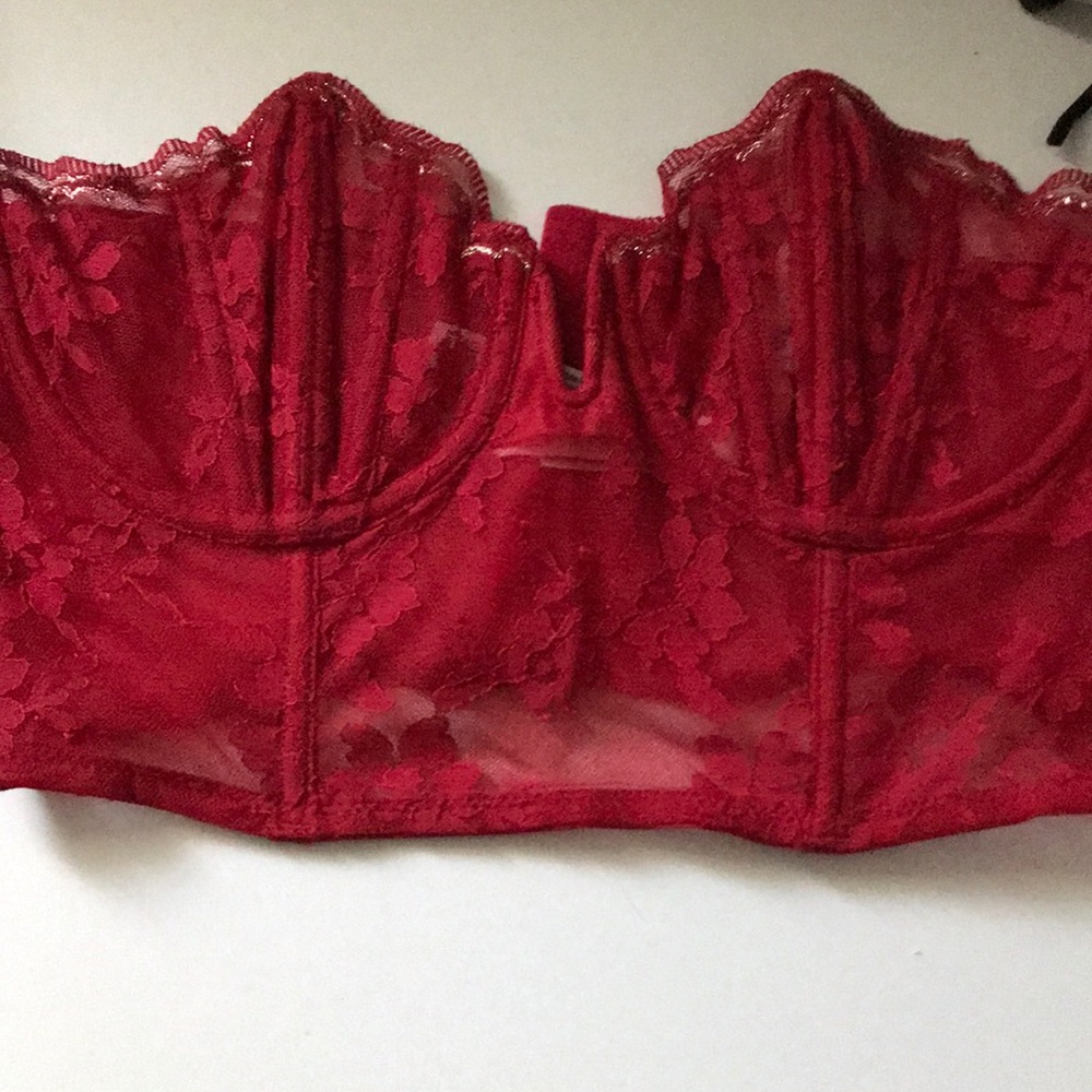 Scalloped lace  bustier